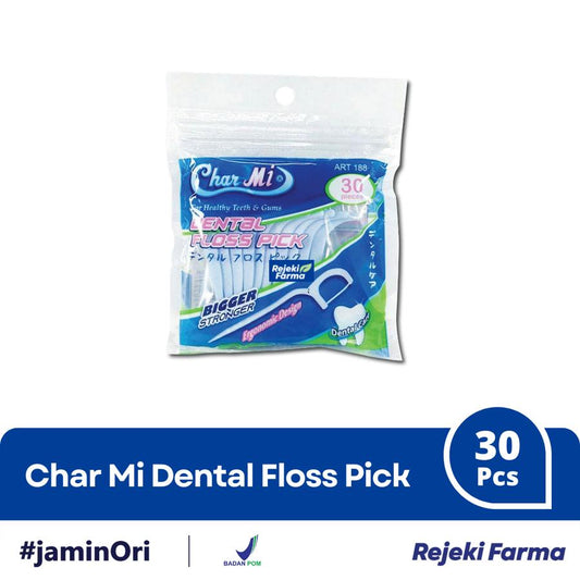 Char Mi Dental Floss Pick - 30 Pcs